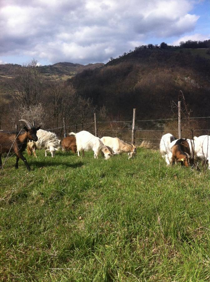 Agriturismo Il Covo Del Solengo Valtopina Extérieur photo