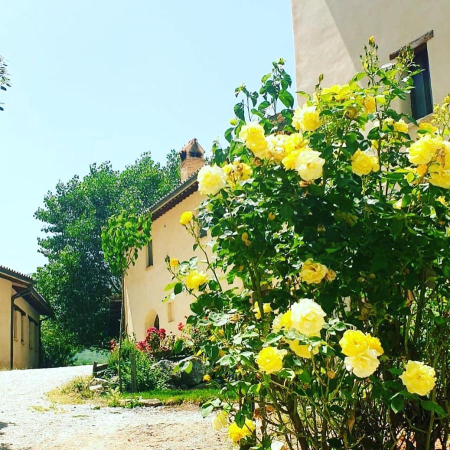 Agriturismo Il Covo Del Solengo Valtopina Extérieur photo