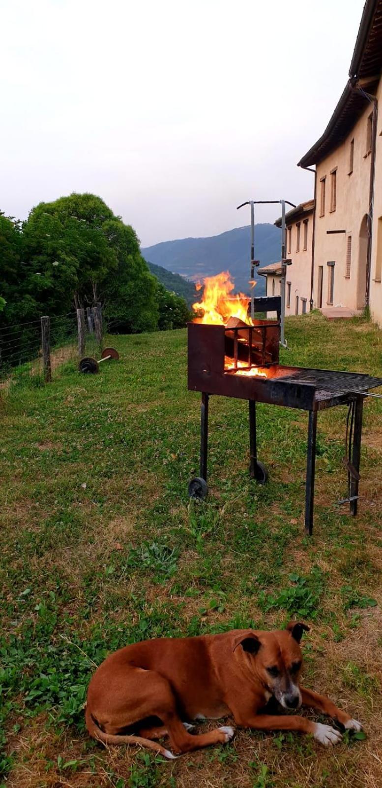 Agriturismo Il Covo Del Solengo Valtopina Extérieur photo